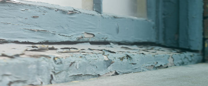 lead-paint-inspections lead-paint-inspection-header